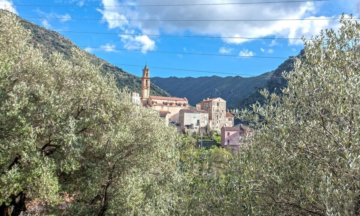 Photo of Others in Omessa