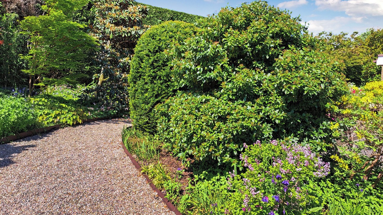 Photo of Outdoor in Auchengray