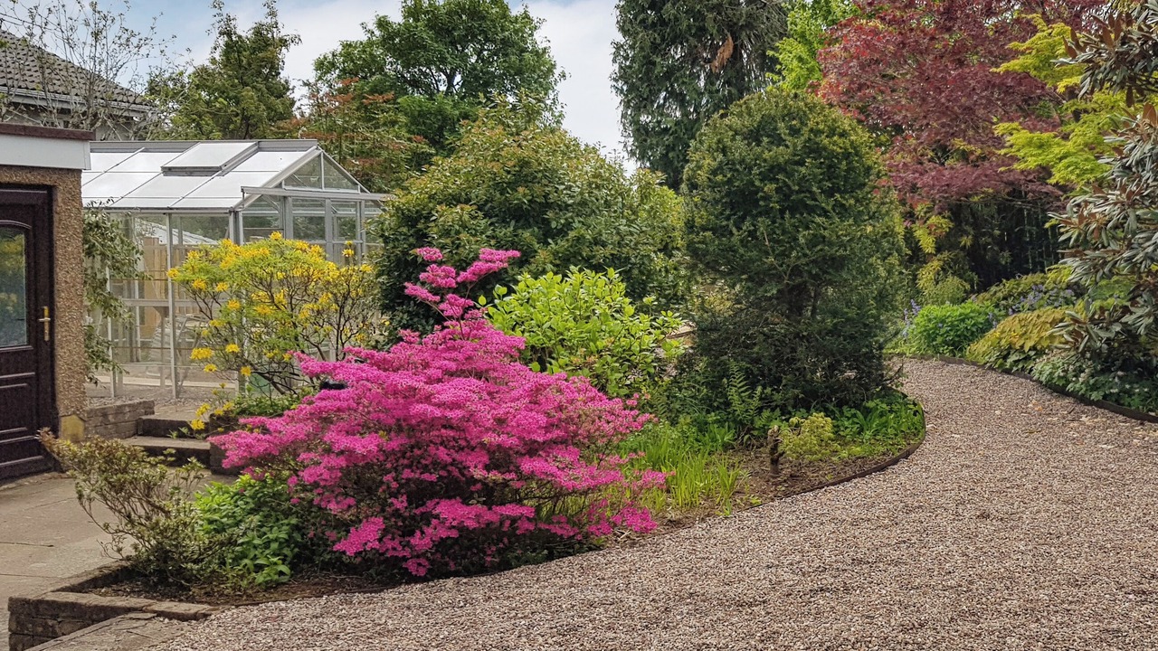 Photo of Outdoor in Auchengray