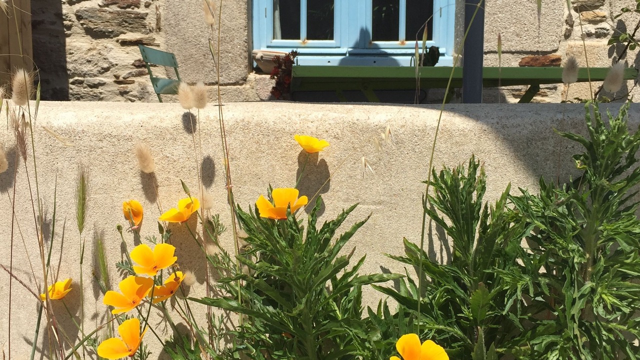 Photo of Outdoor in Piriac-sur-Mer