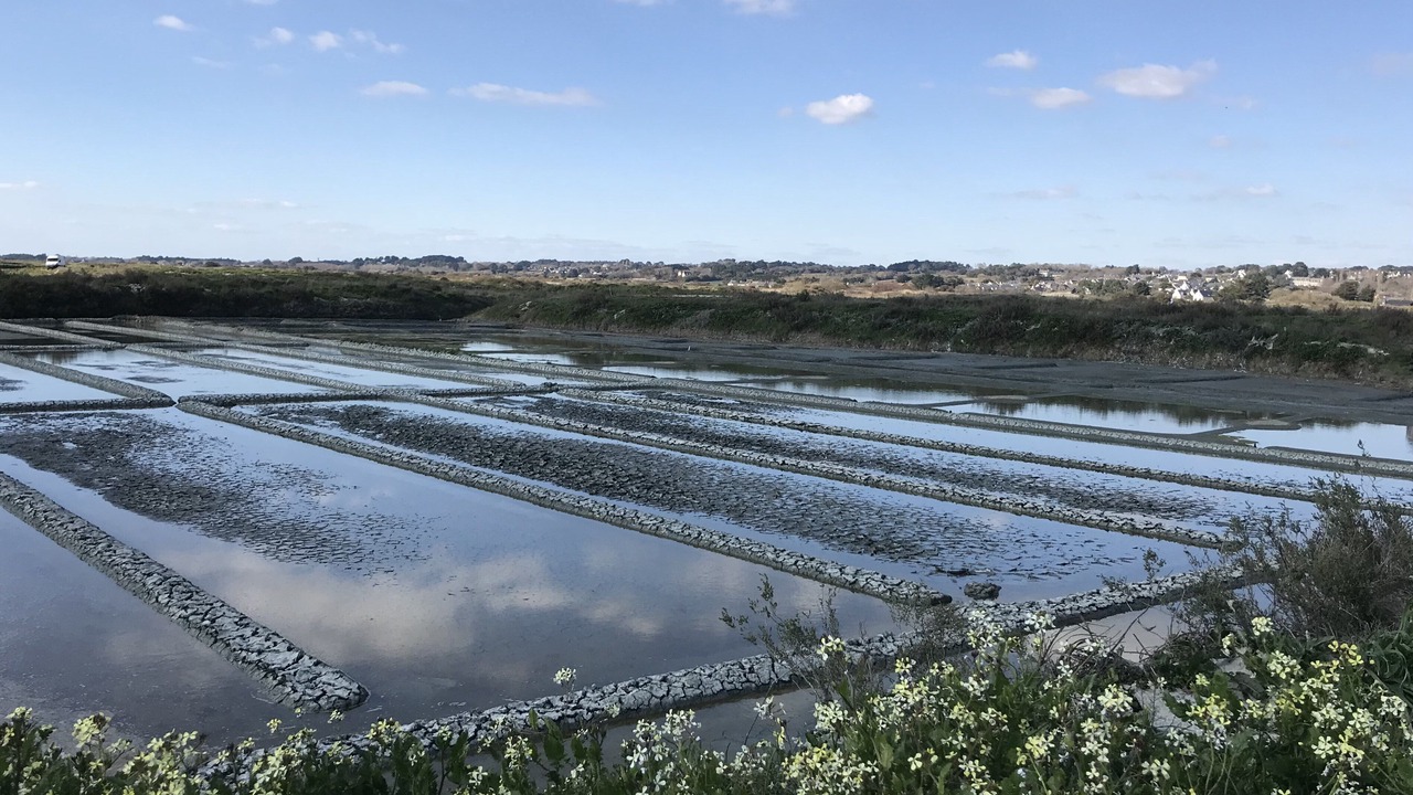 Photo of Others in Piriac-sur-Mer