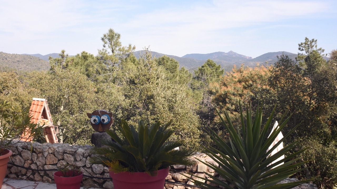 Photo of Outdoor in Frejus