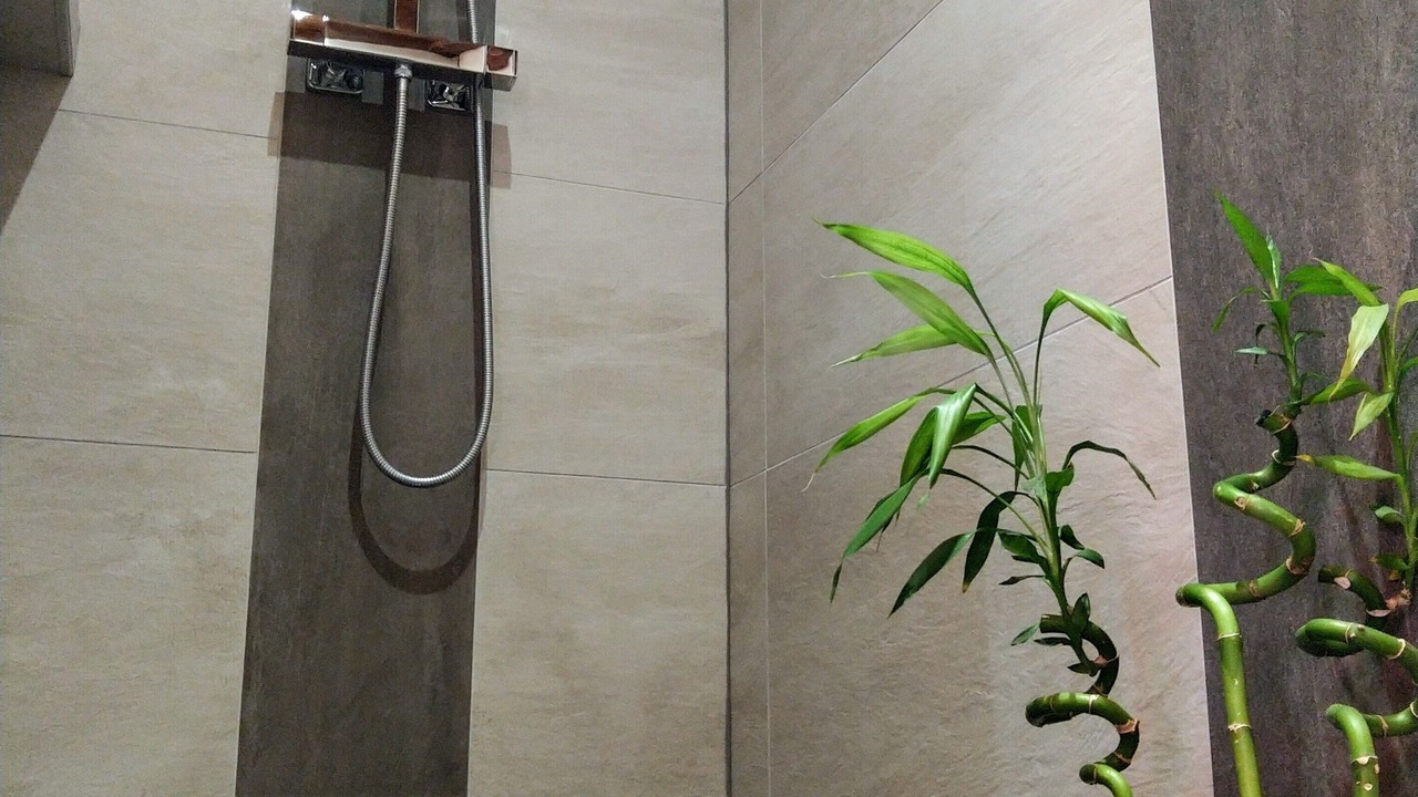 Photo of Bathroom in Xonrupt-Longemer