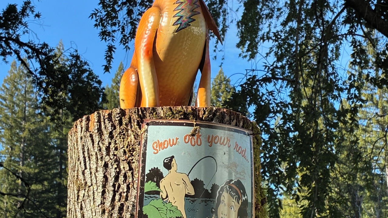 Photo of Outdoor in Garberville