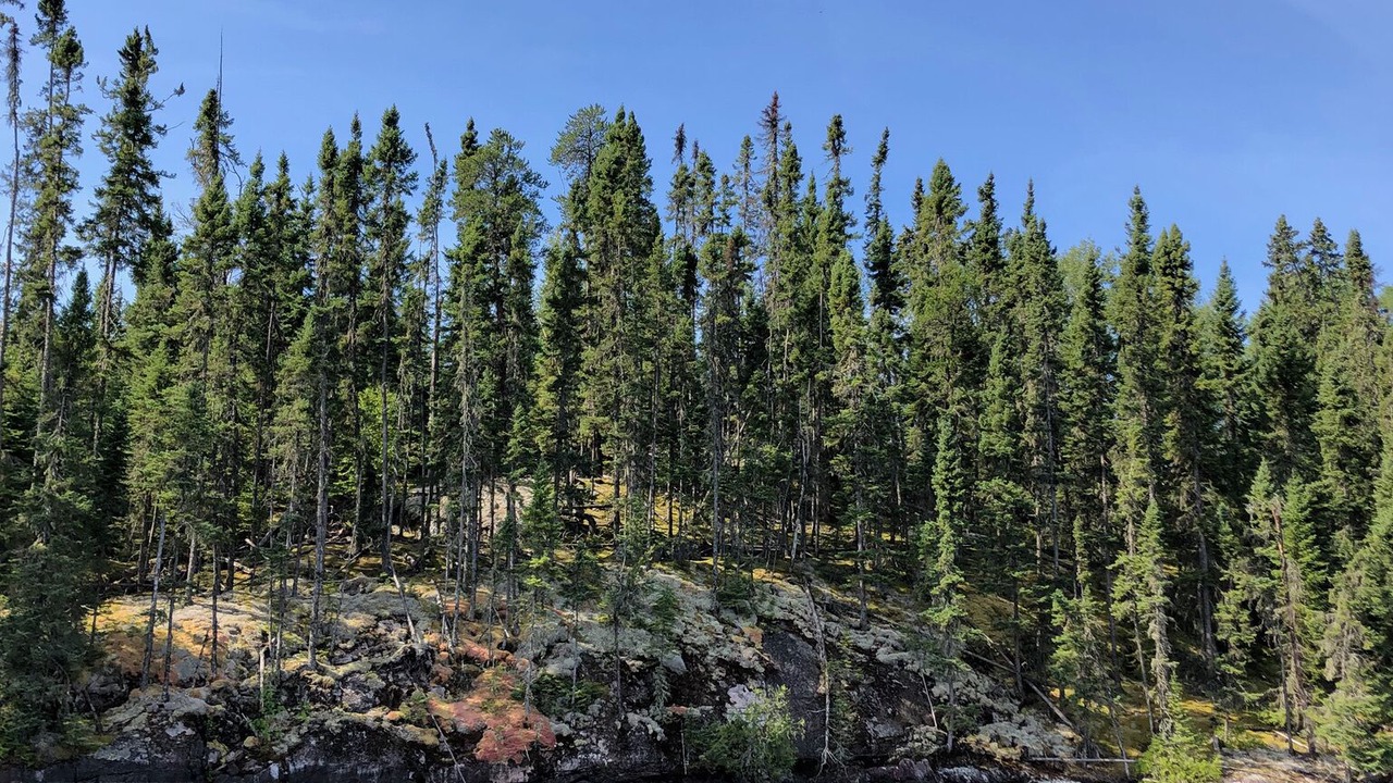 Photo of Outdoor in Perrault Falls
