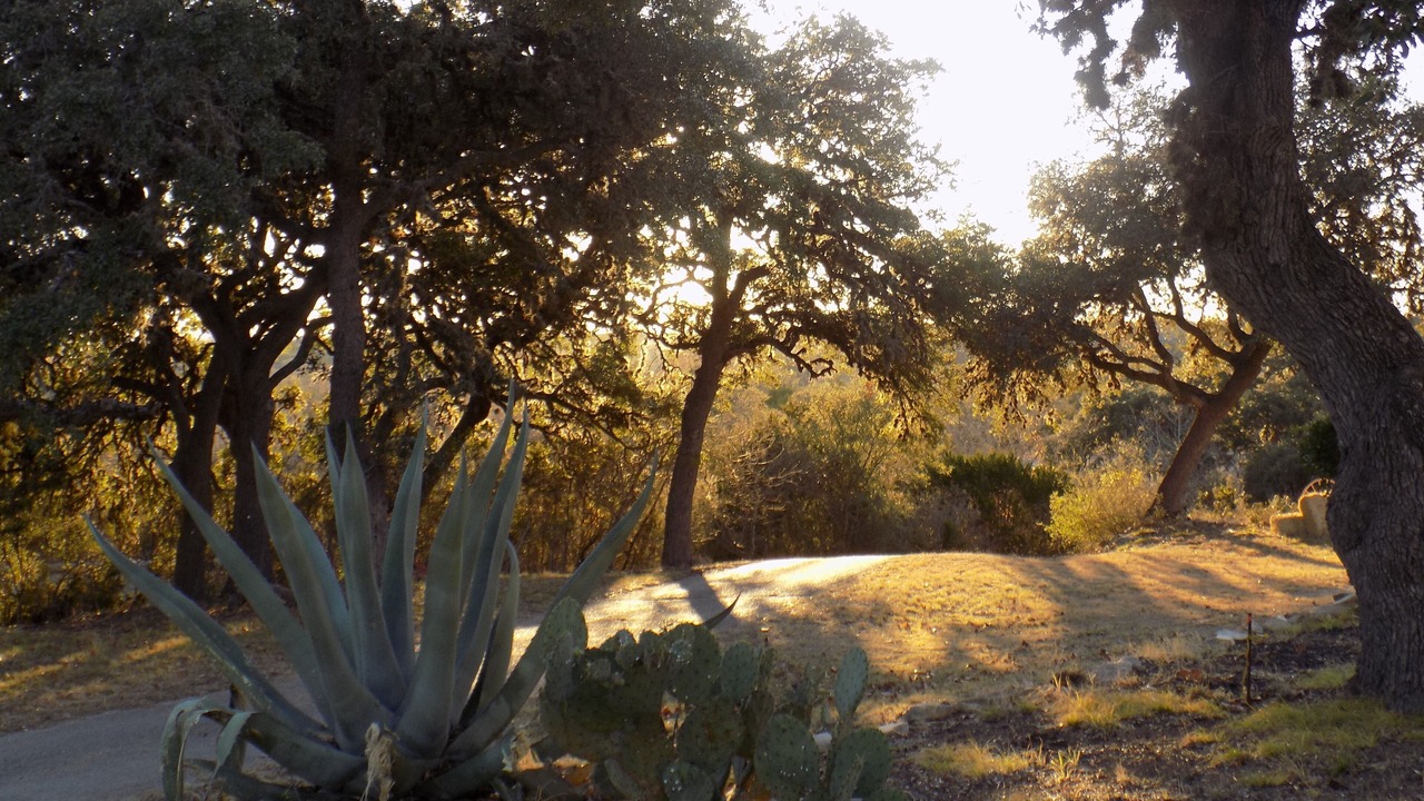 Photo of Outdoor in Pipe Creek