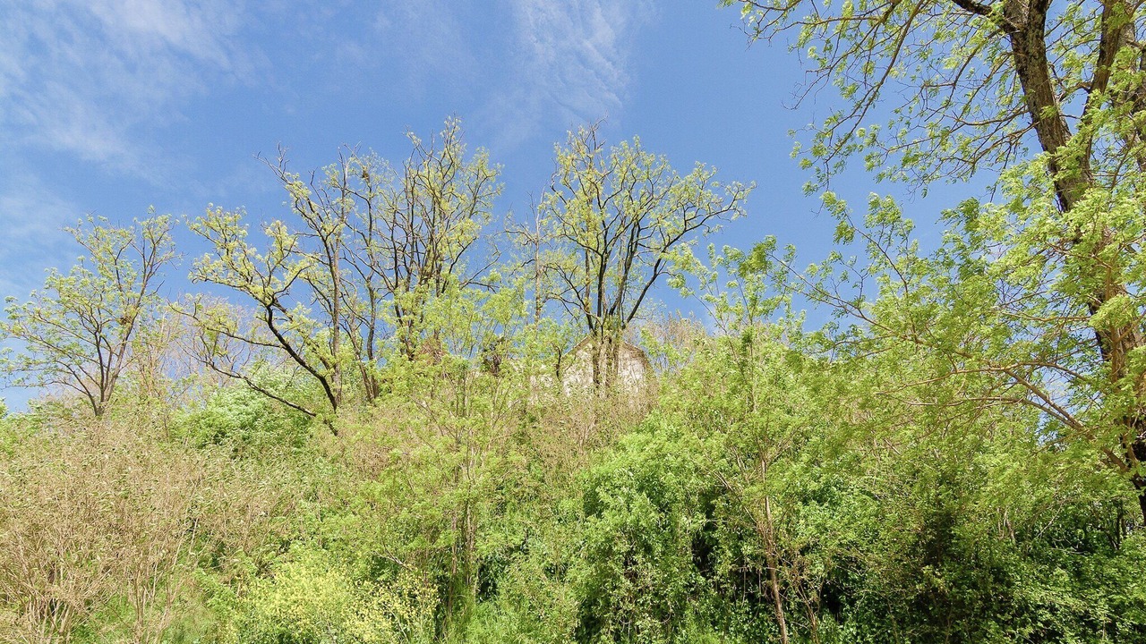 Photo of Outdoor in Tournon-d'Agenais