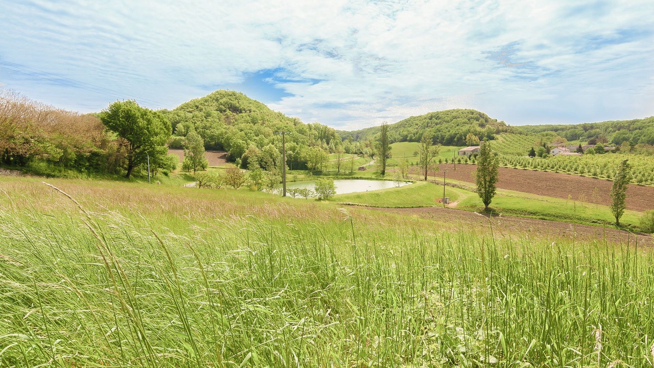 Photo of Others in Tournon-d'Agenais