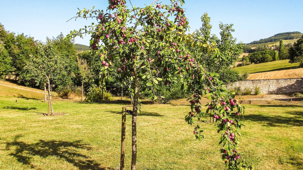 Photo of Outdoor in Tournon-d'Agenais