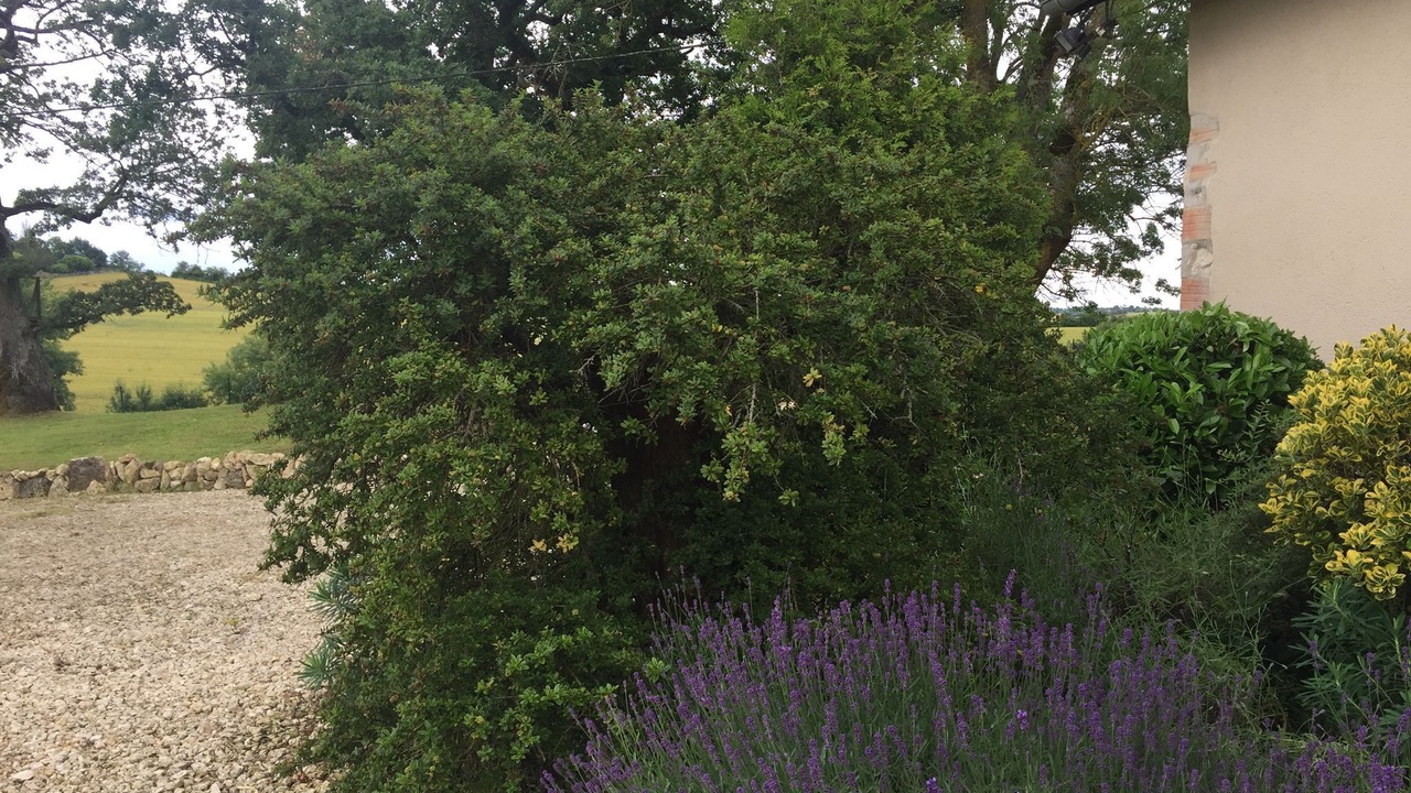 Photo of Outdoor in Monfort