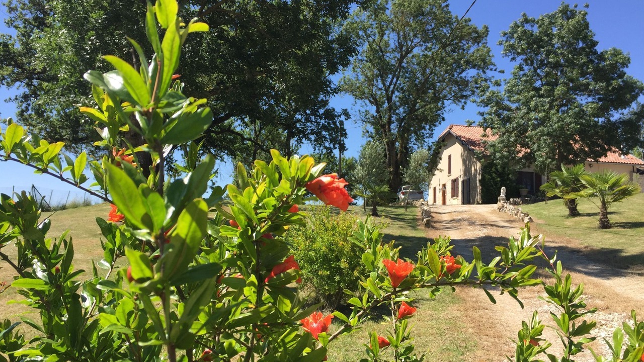 Photo of Outdoor in Monfort