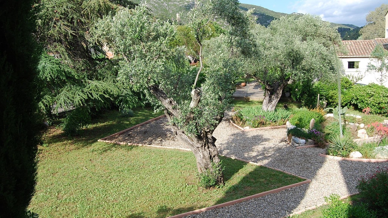 Photo of Outdoor in Roquebrun