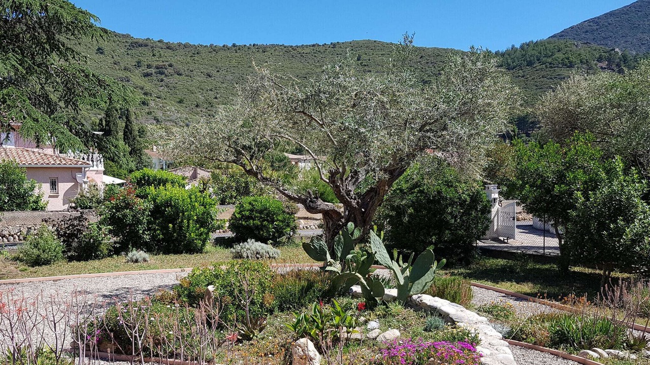 Photo of Outdoor in Roquebrun