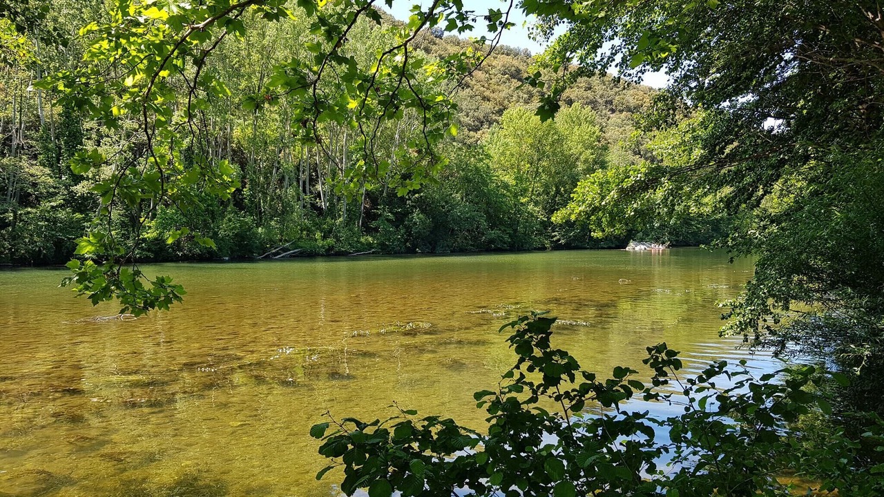 Photo of Others in Roquebrun