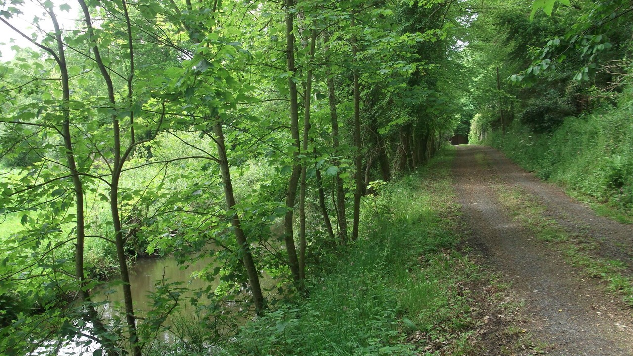 Photo of Others in Yvias