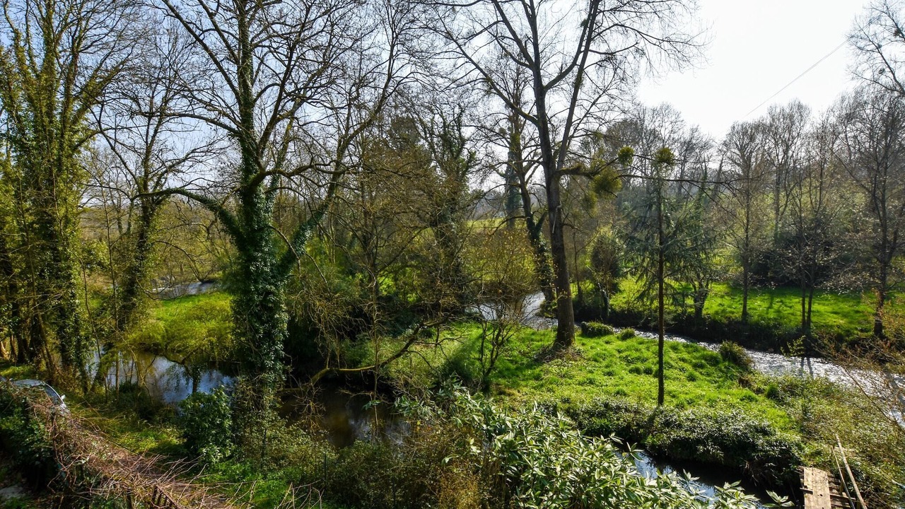 Photo of Others in Yvias