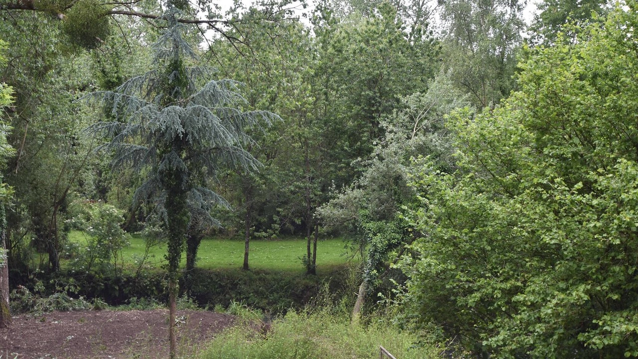 Photo of Others in Yvias