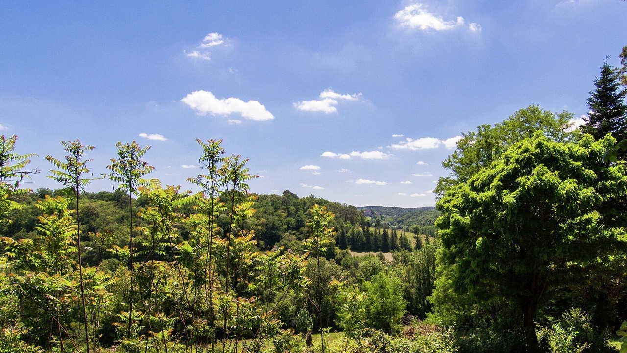 Photo of Others in Bourgnac
