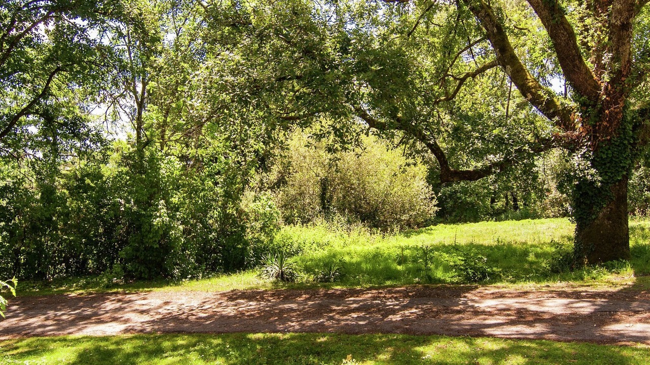 Photo of Outdoor in Bourgnac