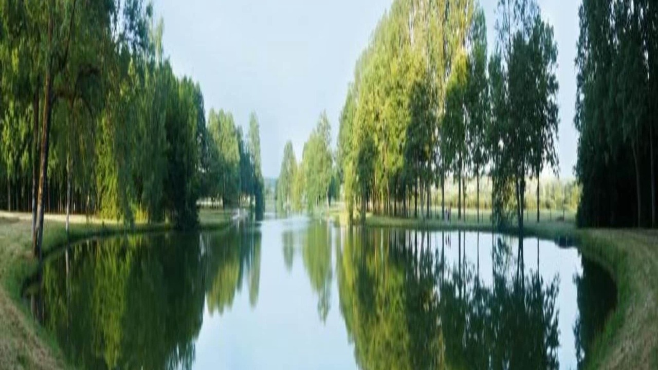 Photo of Others in Barricourt