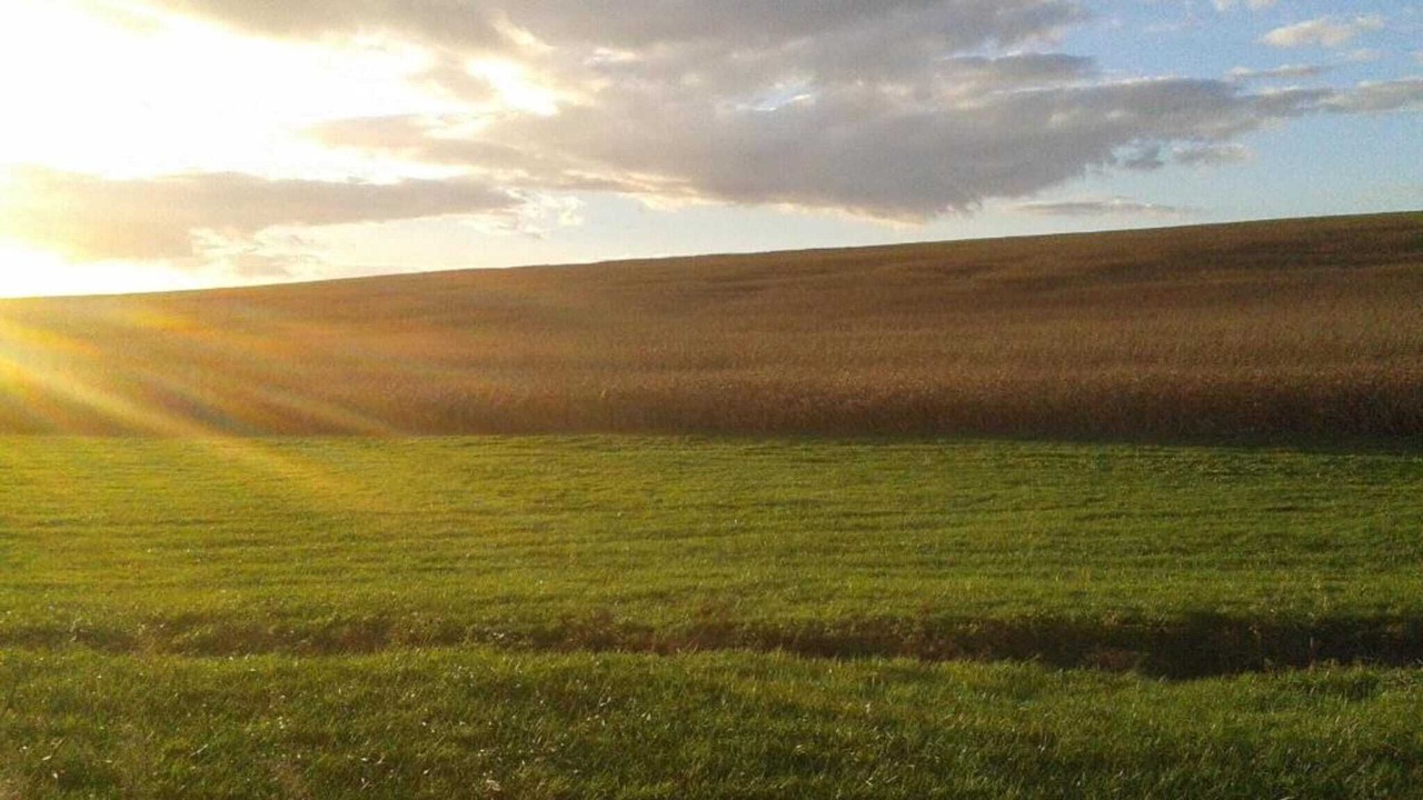 Photo of Others in Barricourt