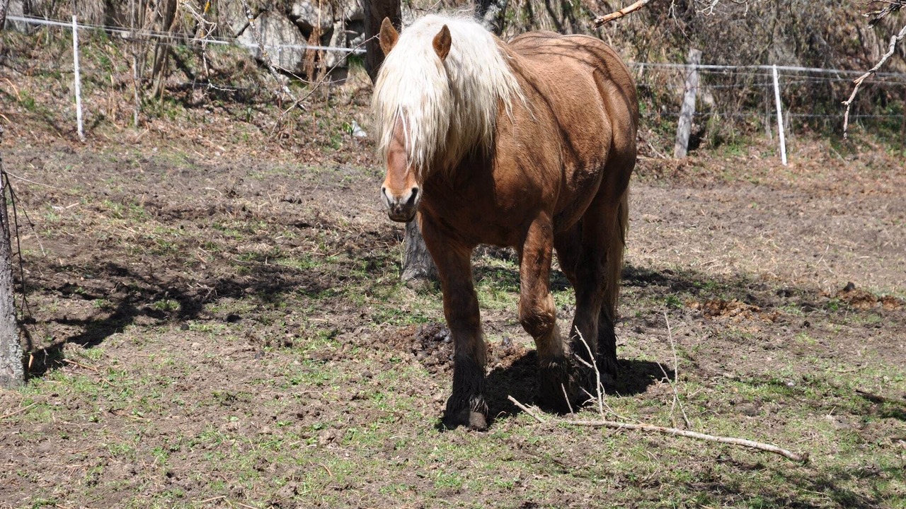 Photo of Others in Roquefort-de-Sault