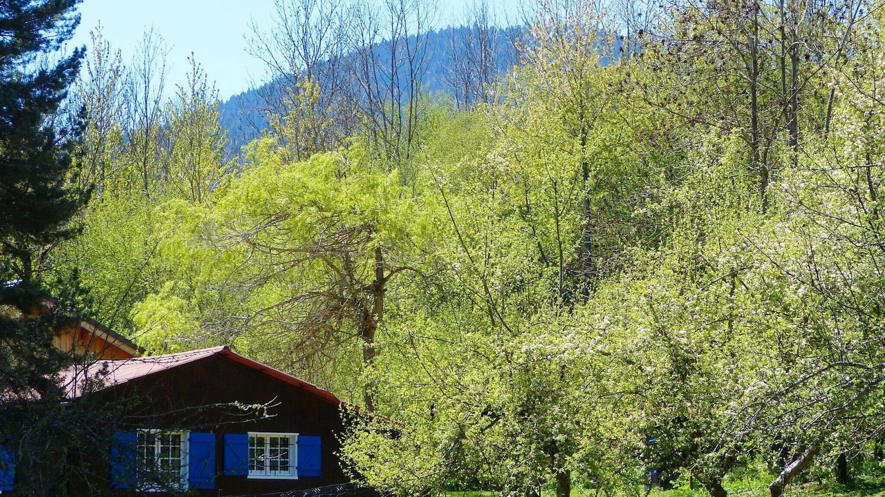 Photo of Outdoor in Roquefort-de-Sault