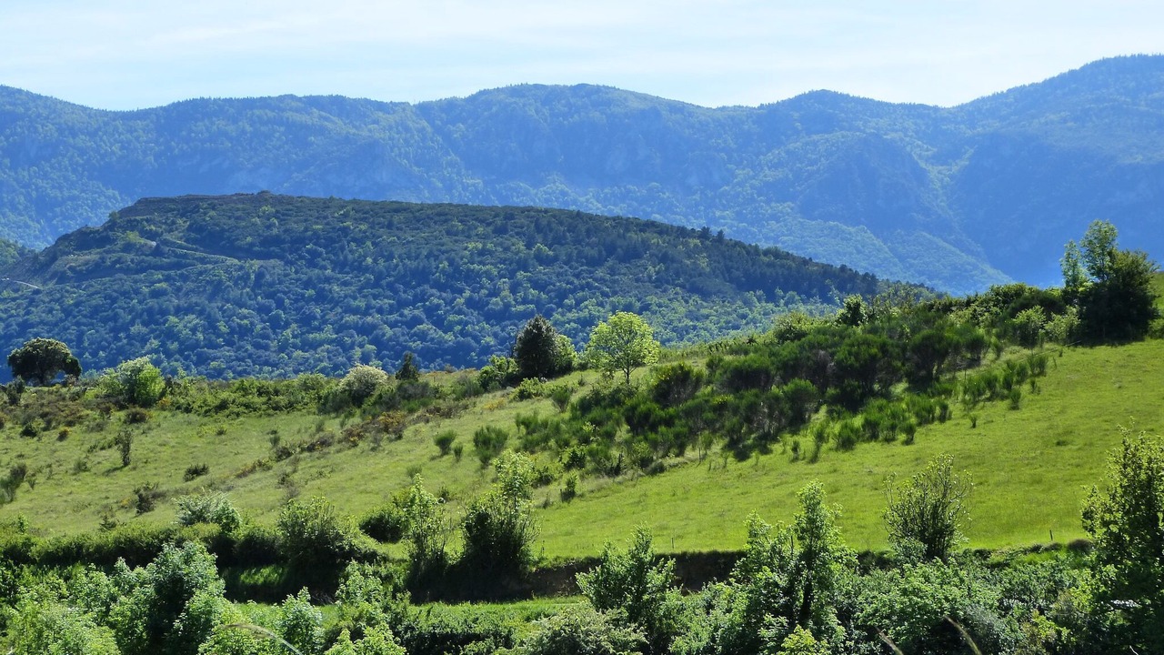 Photo of Others in Roquefort-de-Sault