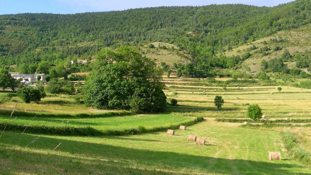 Photo of Others in Roquefort-de-Sault