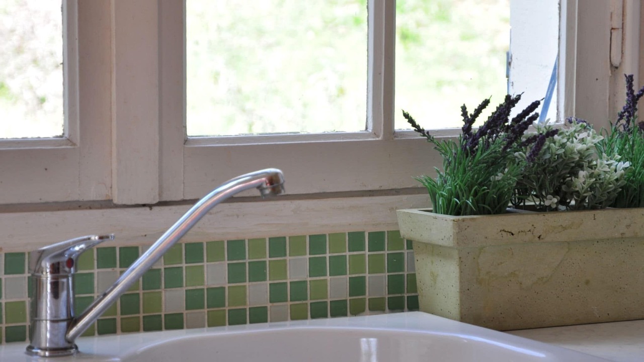 Photo of Others in Roquefort-de-Sault