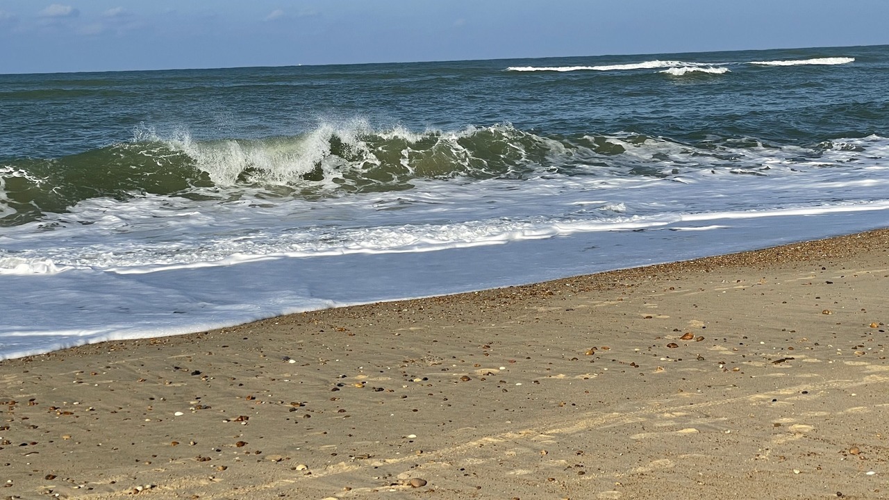 Photo of Others in Soustons