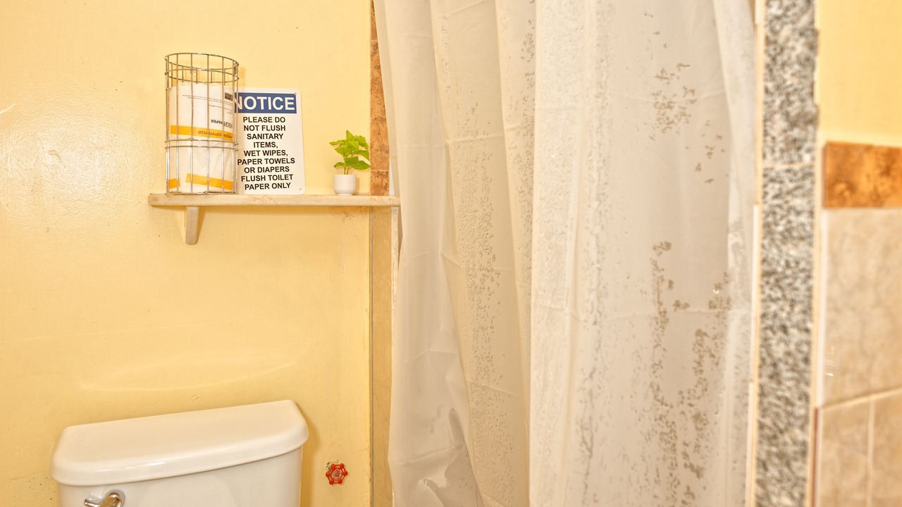 Photo of Bathroom in Downtown Albany
