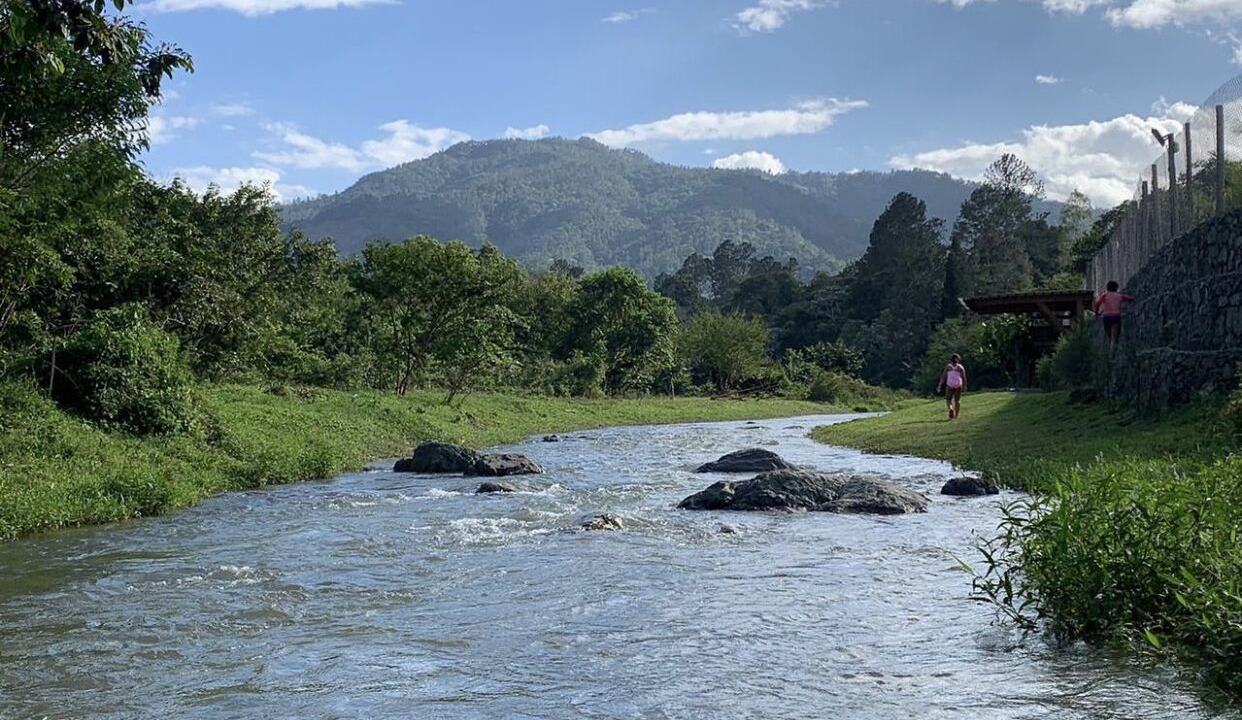 Photo of Others in La Joya