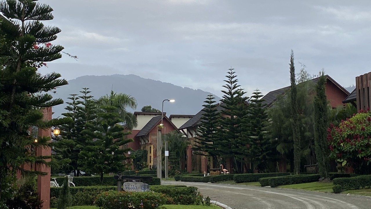 Photo of Others in La Joya