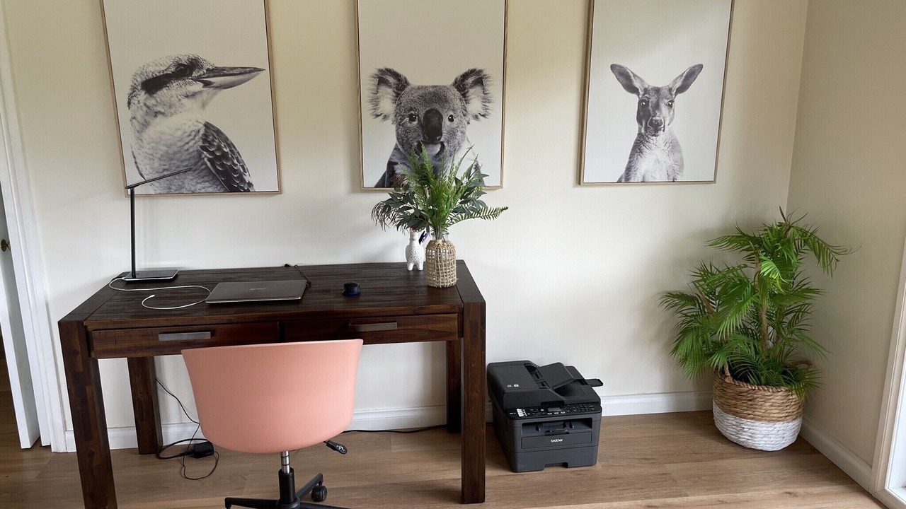 Photo of Others in Bellingen