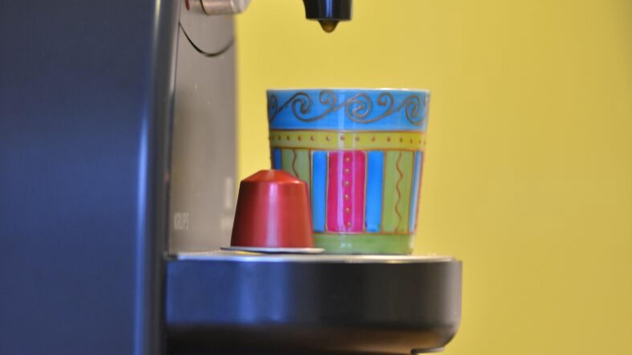 Photo of Others in Transvaal