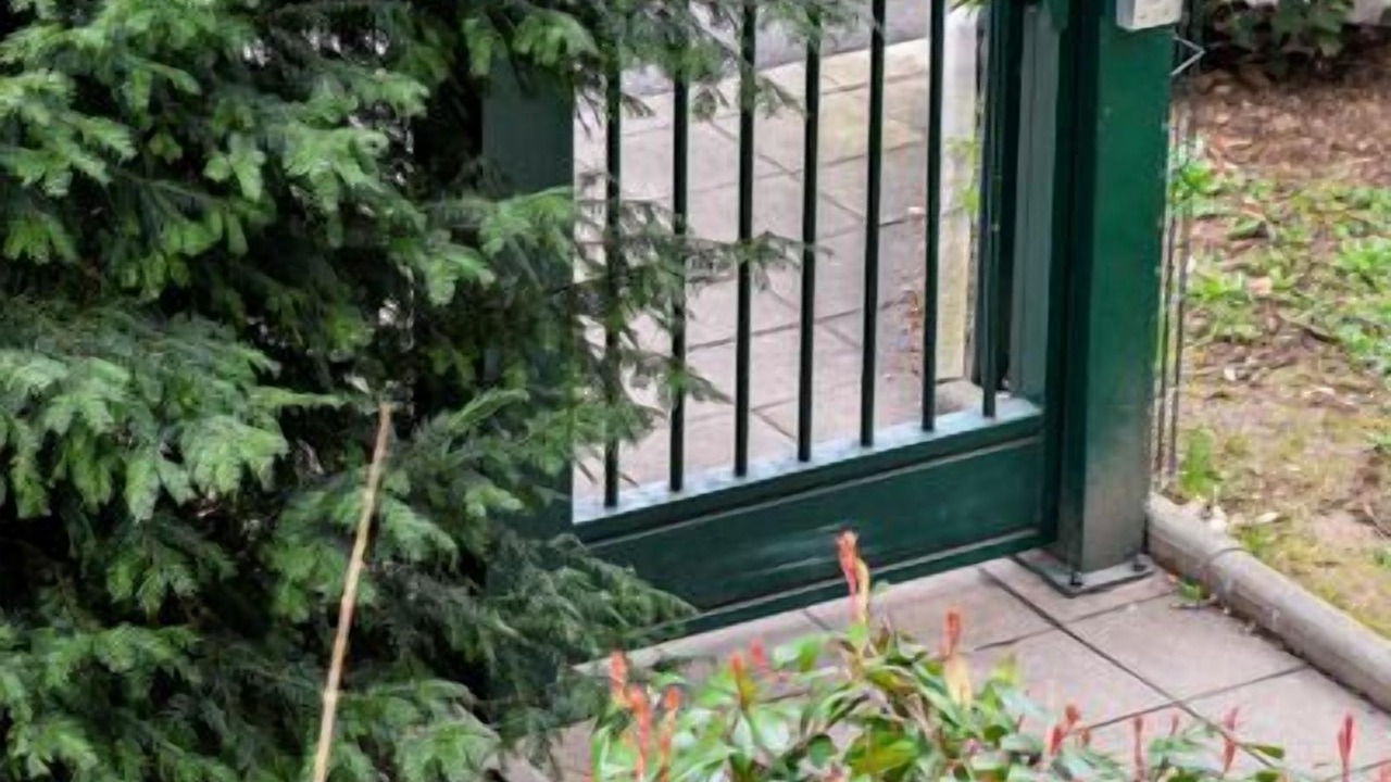 Photo of Outdoor in Transvaal