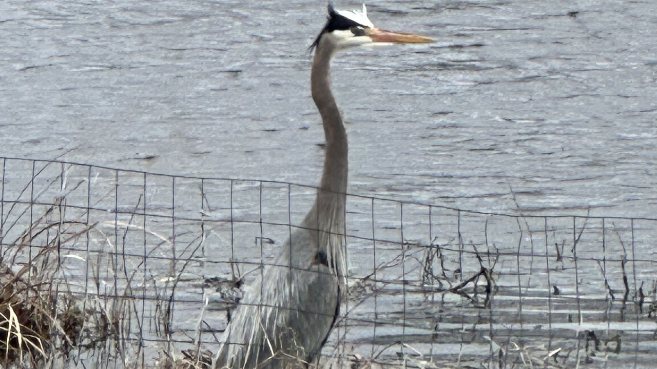 Photo of Others in Selbyville