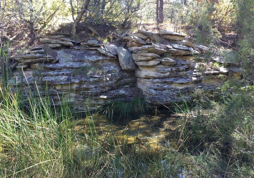 Photo of Others in Raton