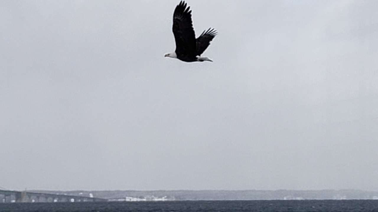 Photo of Others in Mackinaw City