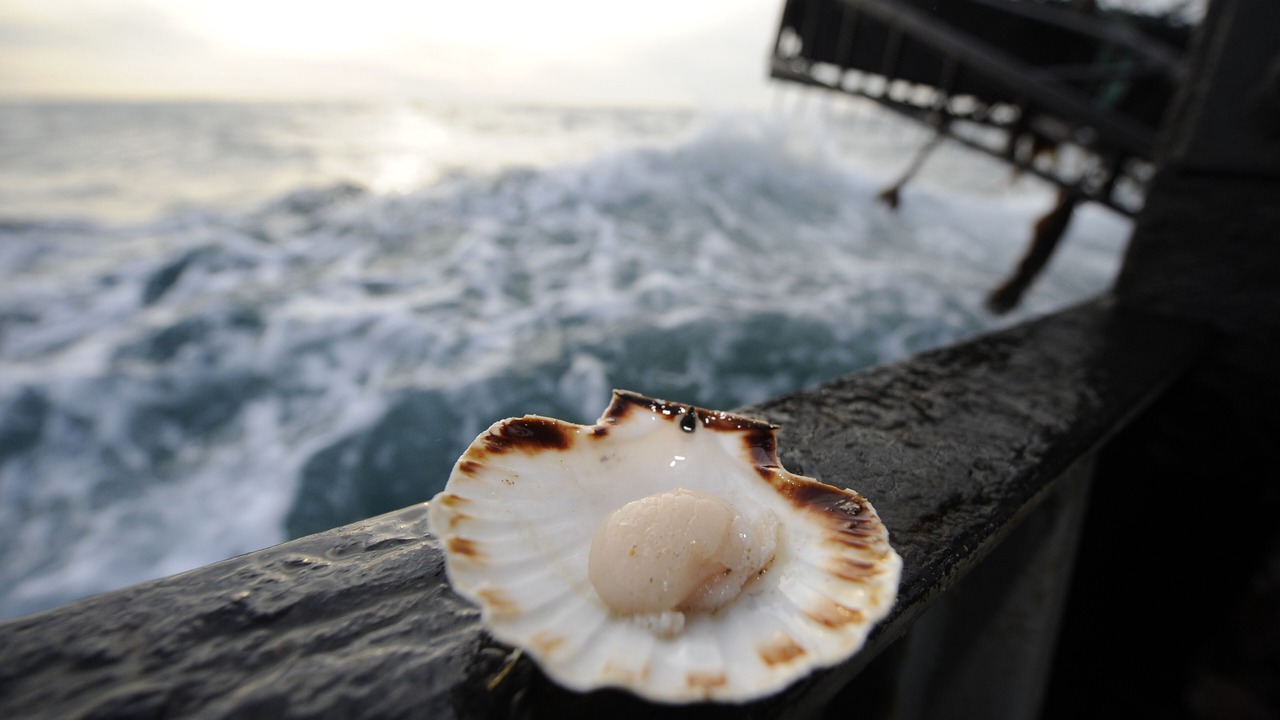 Photo of Others in Erquy