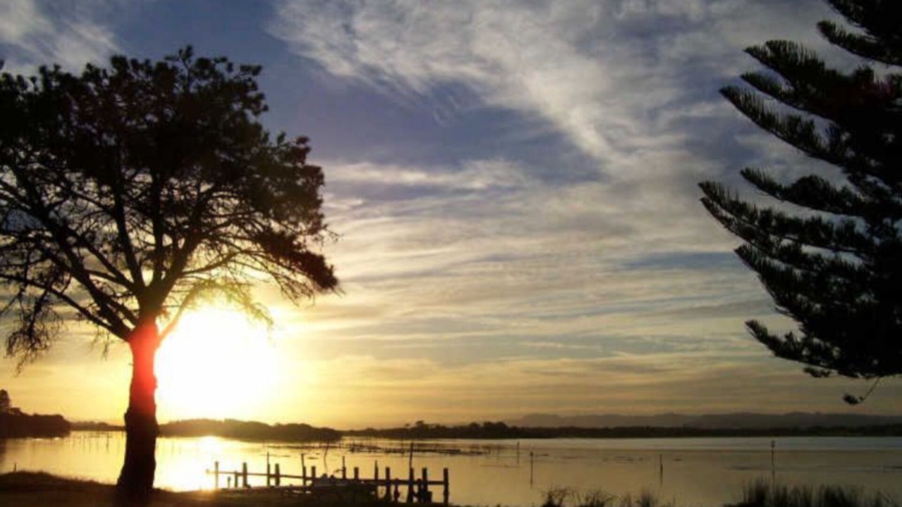 Photo of Others in Manning Point