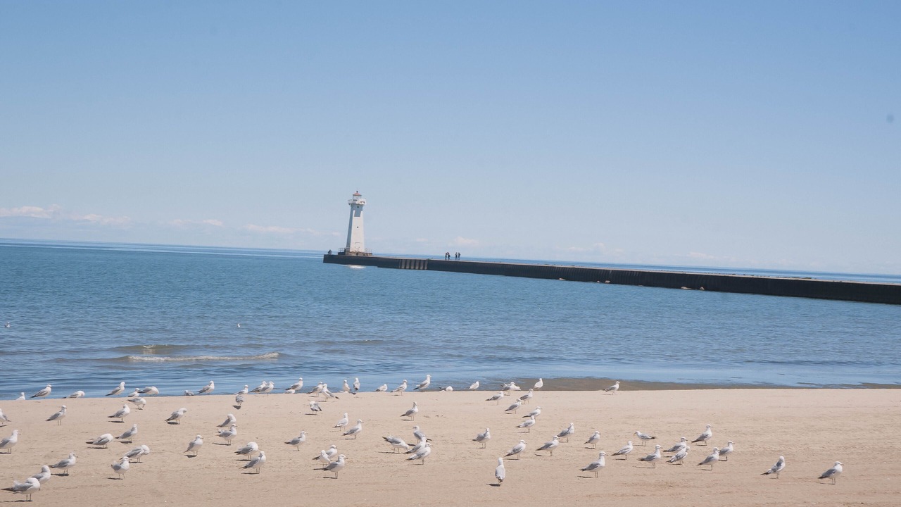 Photo of Others in Sodus Point
