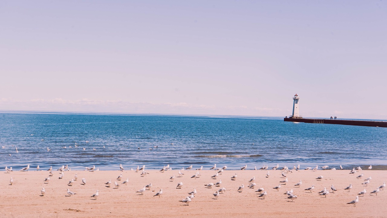 Photo of Others in Sodus Point