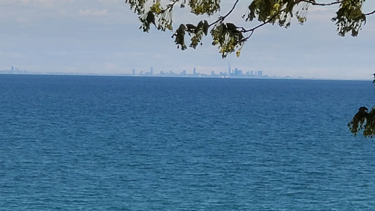 Photo of Others in Stoney Creek
