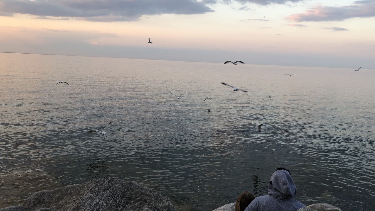 Photo of Others in Stoney Creek