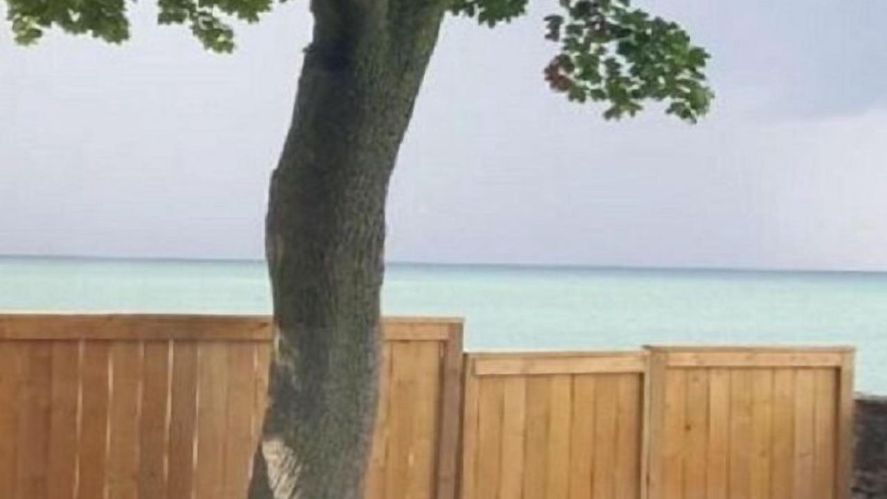 Photo of Others in Stoney Creek