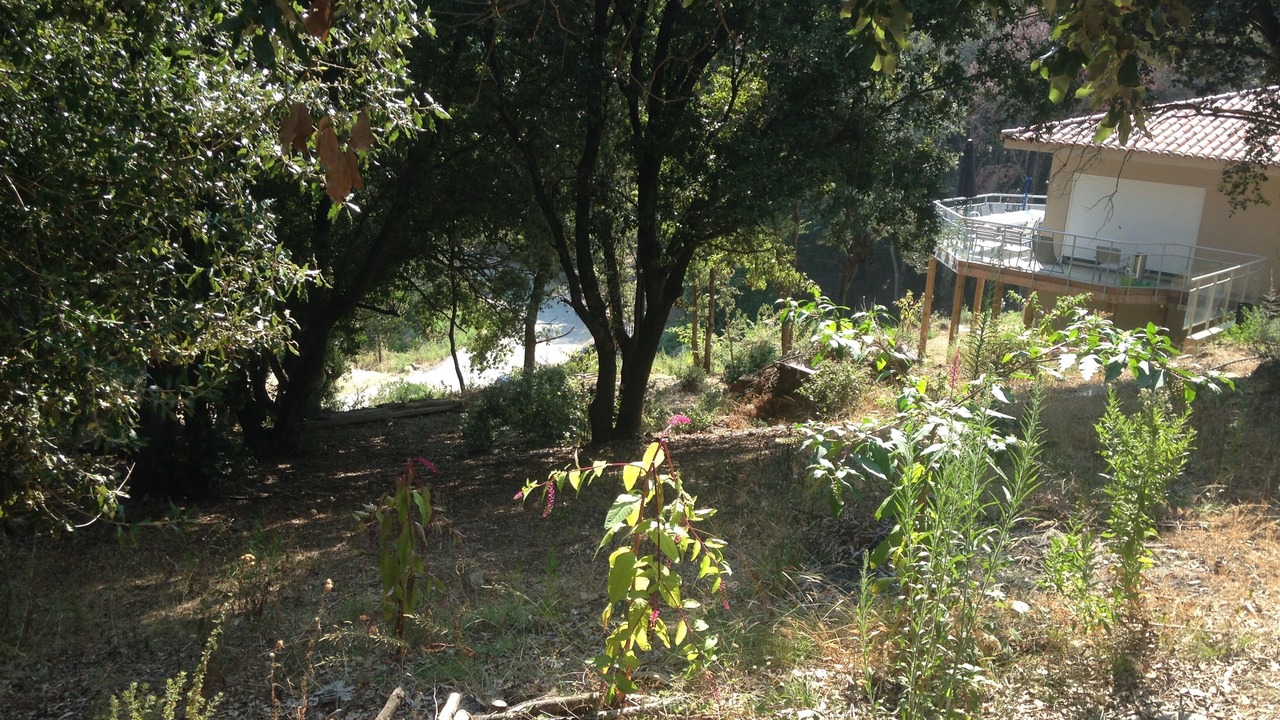 Photo of Outdoor in Belvedere-Campomoro