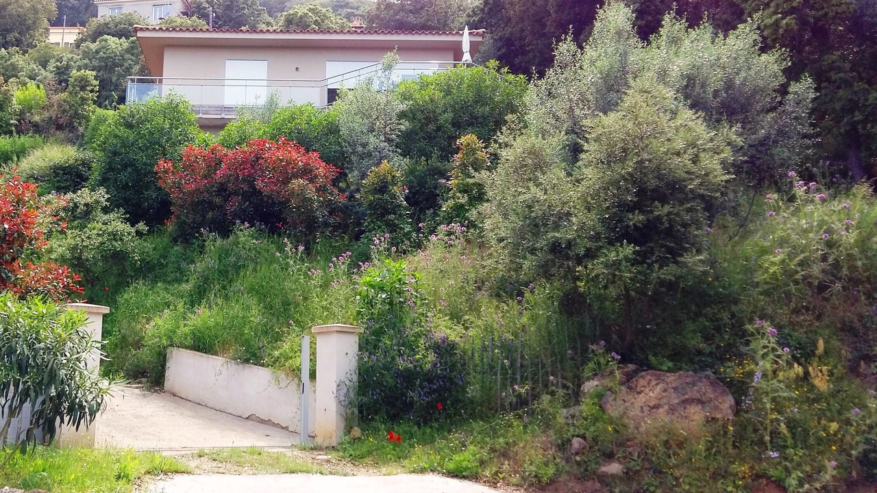 Photo of Outdoor in Belvedere-Campomoro