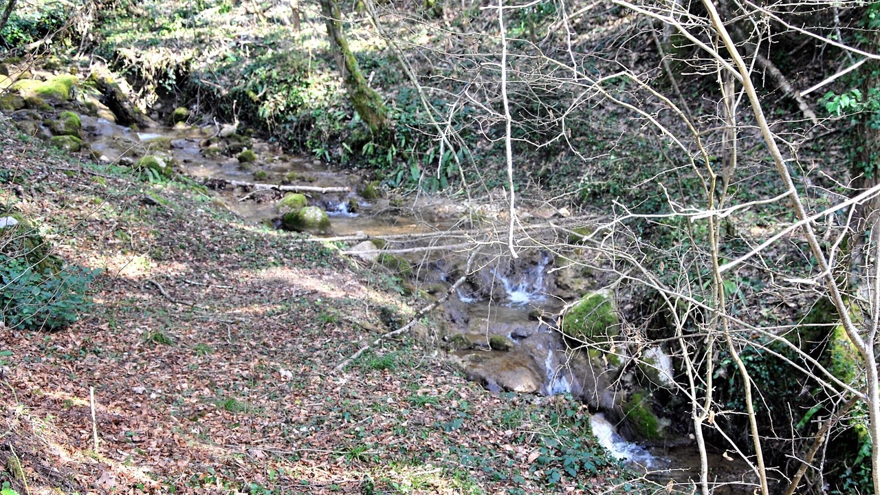 Photo of Outdoor in La Bauche
